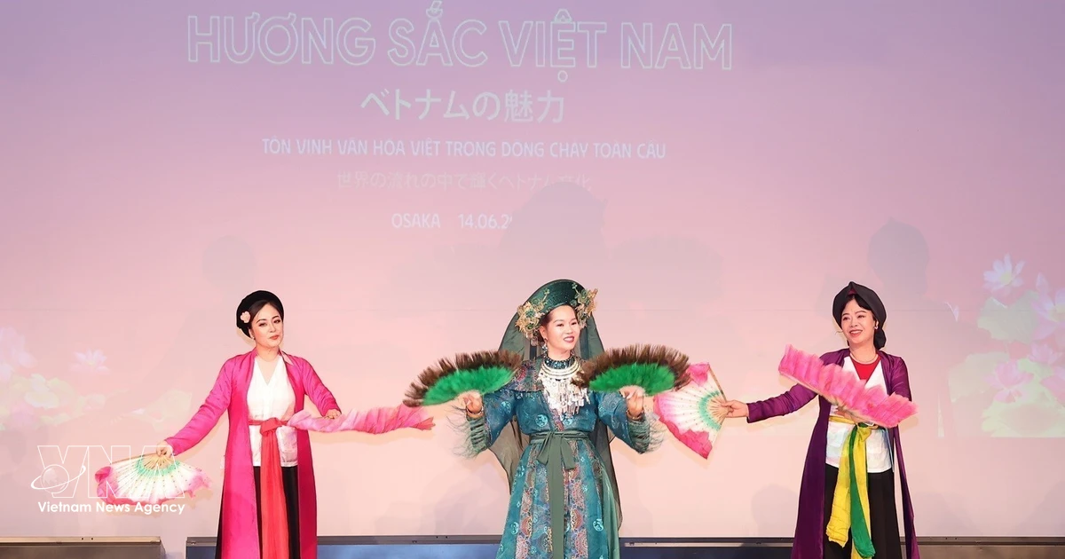 Artistic exchange programme strengthens Vietnam- Japan cultural ties