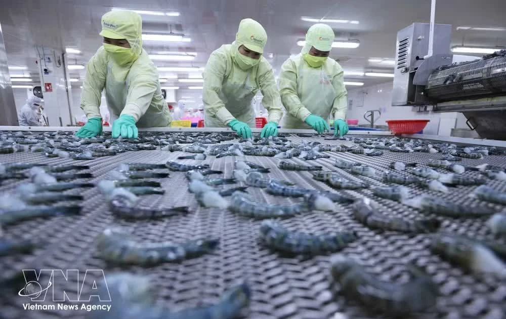 EVFTA deliver tangible gains for Vietnam-EU trade after six years