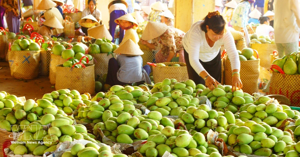 Trade drives growth momentum for Vietnam's economy in seven months