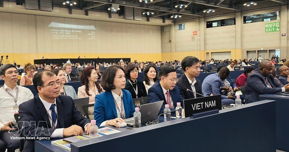 Vietnam proposes priorities to strengthen international cooperation on world heritage conservation