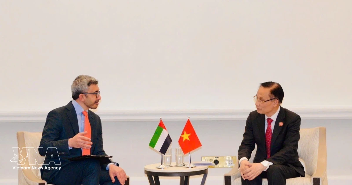 Vietnamese FM meets counterparts of UAE, Egypt and Türkiye