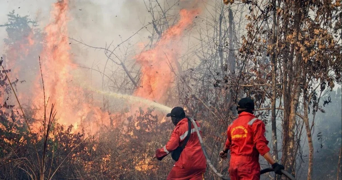 Indonesia gears up for wildfire, drought ahead of longer dry season