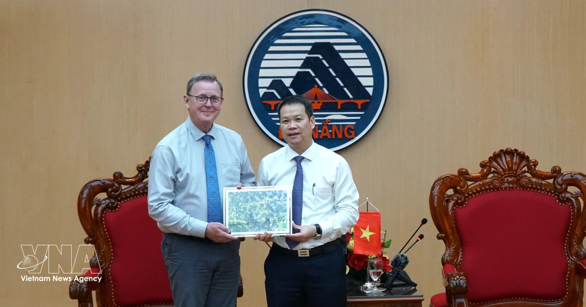 German Bundestag Vice President visits Da Nang to strengthen cooperation