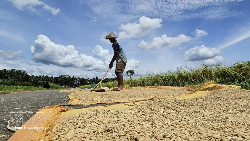 Indonesia meets FAO benchmark for food self-sufficiency