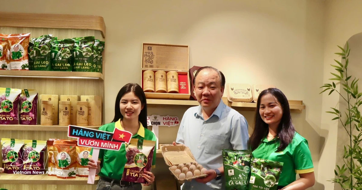 Vitality of Vietnamese Goods programme kicks off