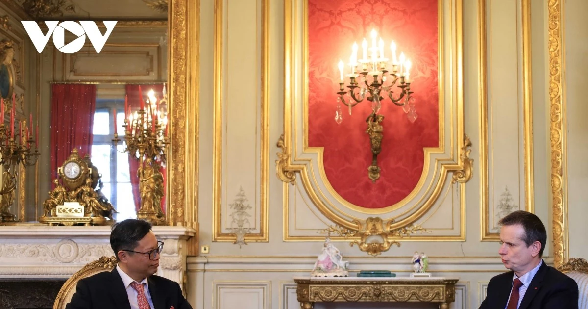 Vietnam strengthens local cooperation with France