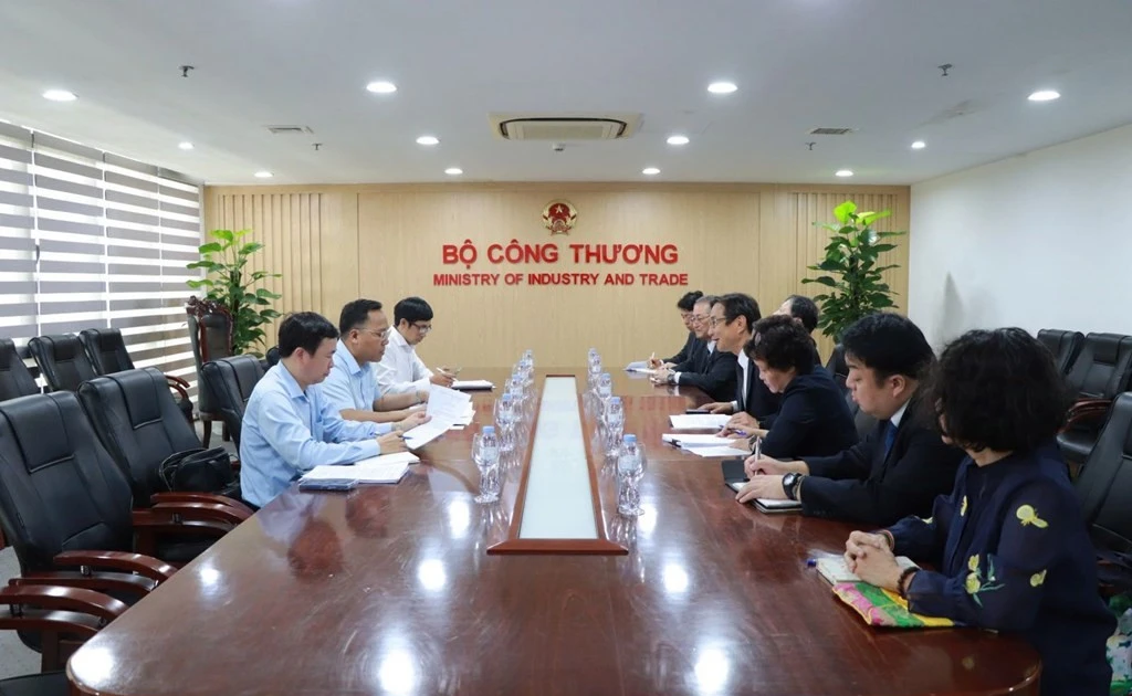 Vietnam, Japan cultivate energy collaboration