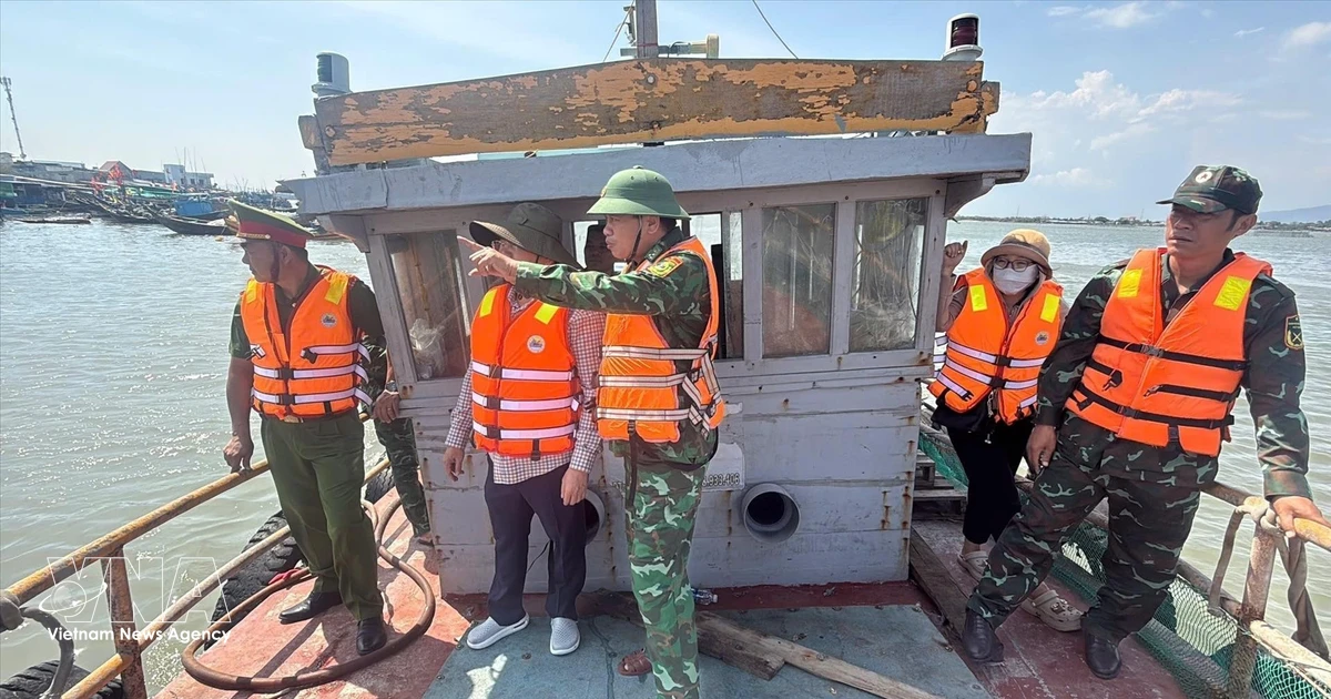 Electronic fishing logbooks boost transparency, modernise fisheries management in Ho Chi Minh City