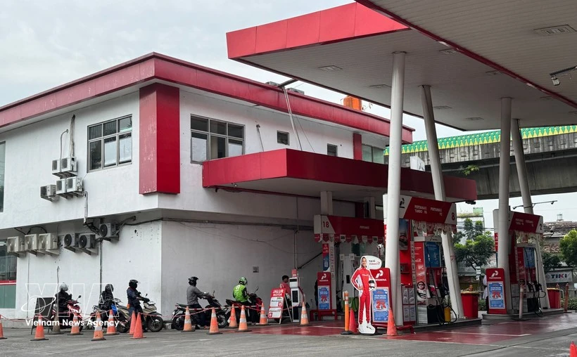 Indonesian expert offers ideas for Vietnam’s energy security