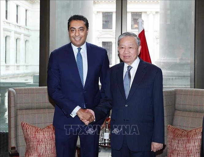 Vietnamese Party chief meets leaders of UK corporations, financial organisations