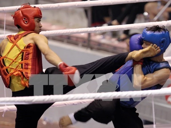 Vietnam-RoK Professional Boxing Tournament to open in October