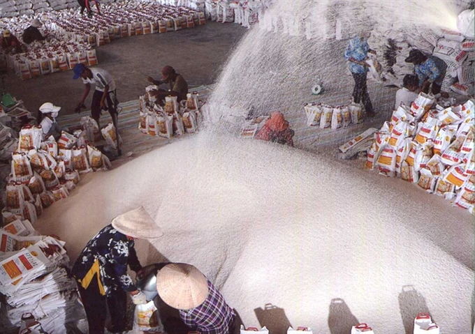 Economax Rice Rice exports less competitive