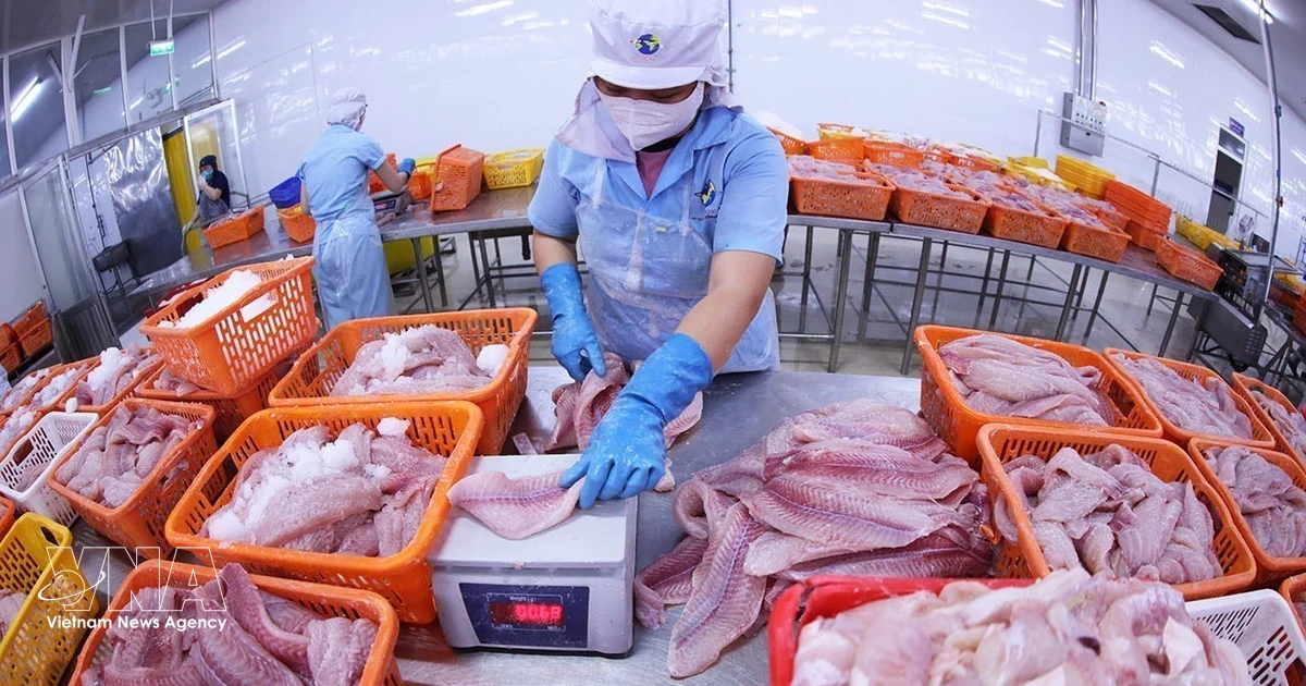Gallery - Resolution 57: Navico – world’s second-largest pangasius producer with closed production-export chain | Vietnam+ (VietnamPlus)