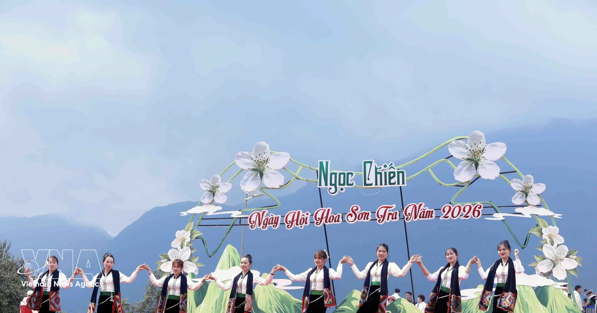 Gallery - Vibrant Son tra blossom festival in Son La | Vietnam+ (VietnamPlus)