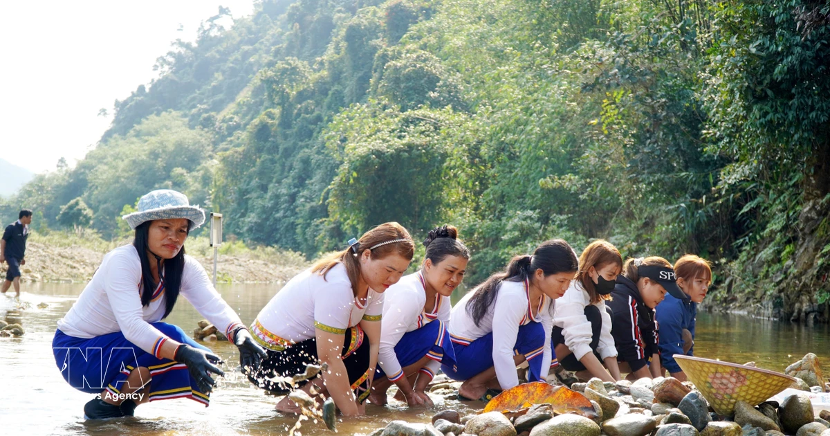 Gallery - Co people in Quang Ngai highland commune revive stream fishing ritual | Vietnam+ (VietnamPlus)
