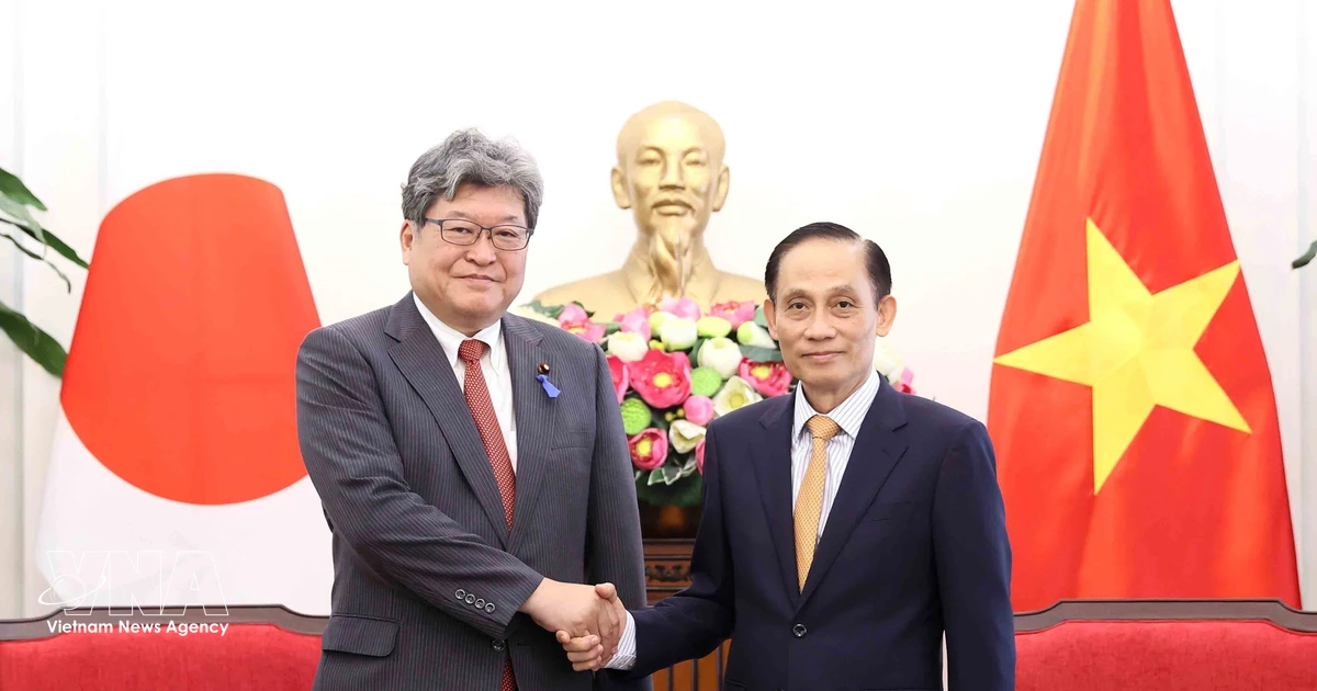 Vietnam, Japan seek to deepen comprehensive strategic partnership