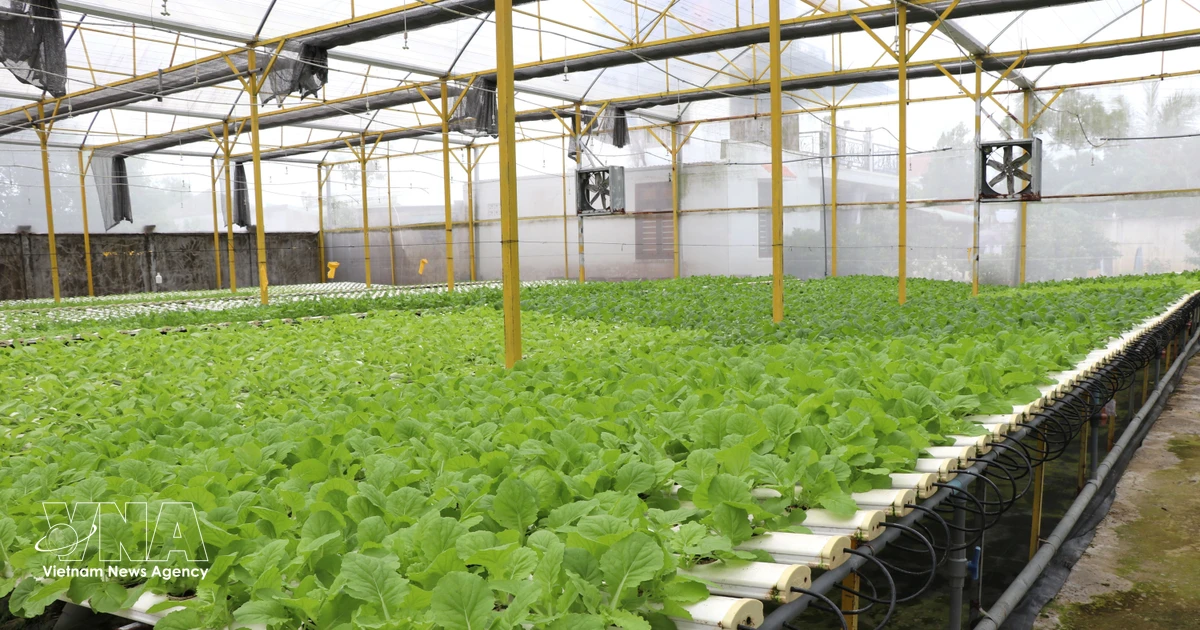 Incentive policies for high-tech agricultural zones
