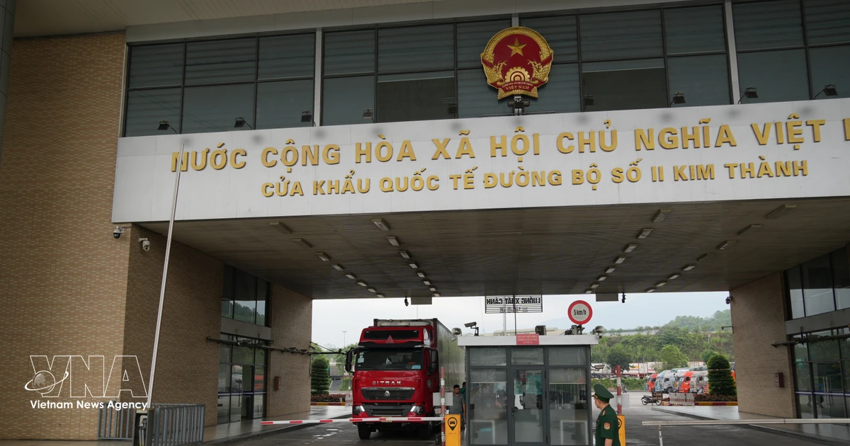 Lao Cai steps up anti-smuggling crackdown, handles more than 1,220 cases