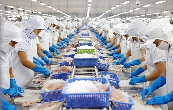The agro-forestry-fishery sector accounts for 11.3% of GDP. (Photo: VNA)