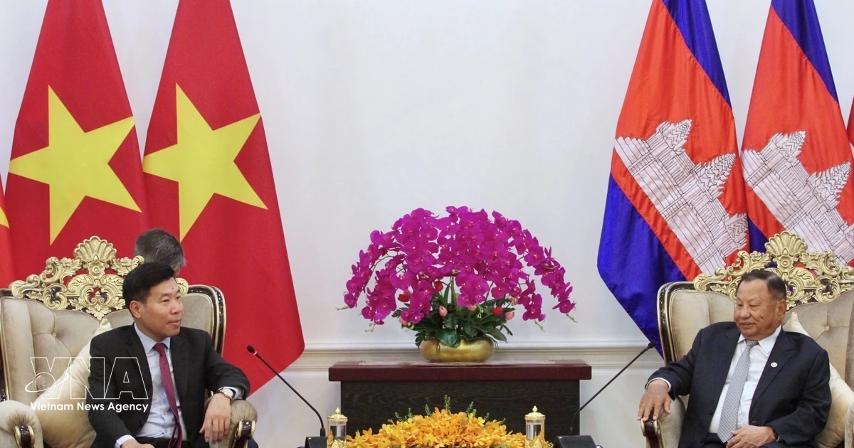 Vietnam, Cambodia step up cooperation, traditional friendship