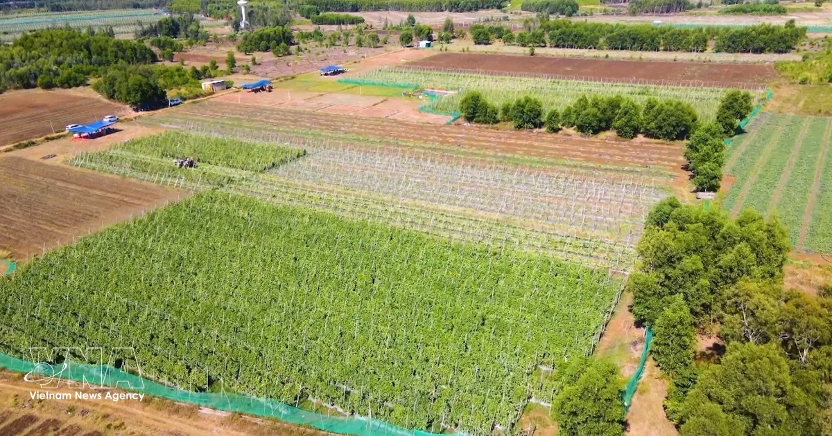 Data, digitalisation key to unlocking sustainable growth in Vietnam’s agriculture
