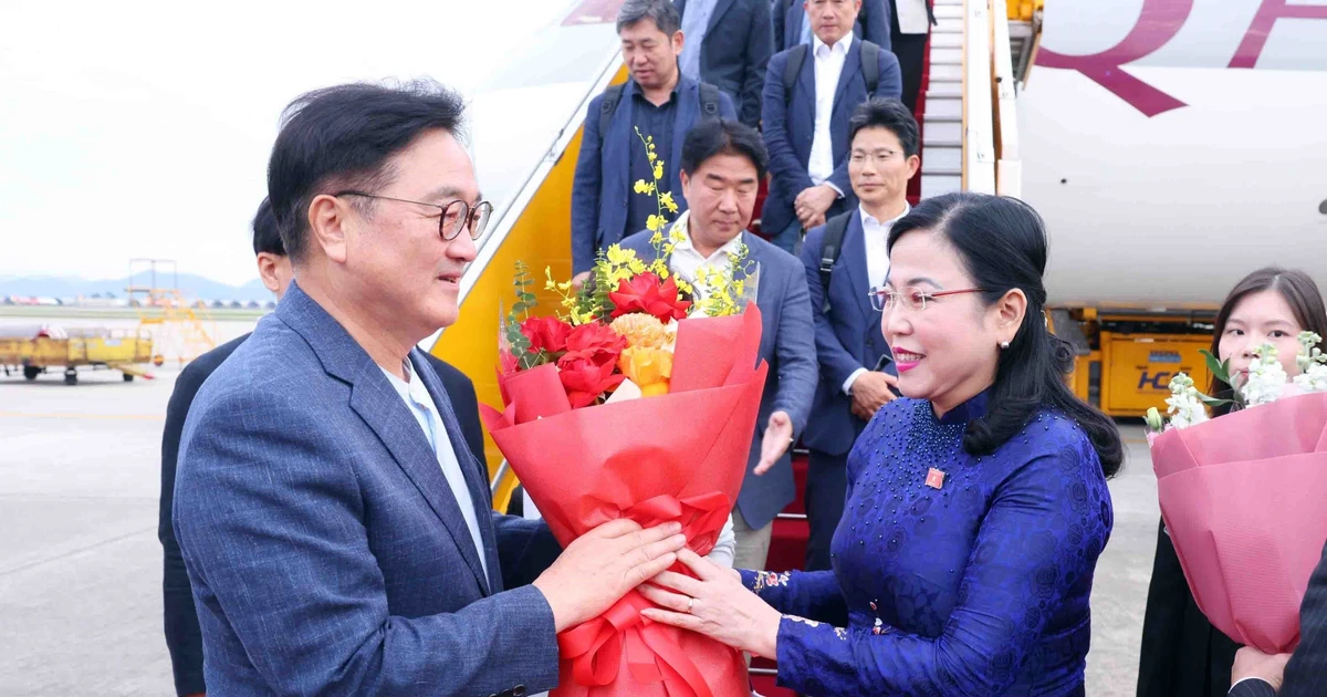 Chairwoman of the NA Committee for Science, Technology, and Environment Nguyen Thanh Hai (R) welcomes Speaker of the National Assembly of the Republic of Korea Woo Won Shik at Noi Bai International Airport. (Photo: VNA)