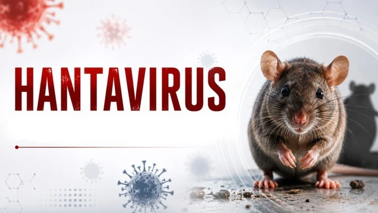 Thailand steps up hantavirus screening of passengers arriving from South America