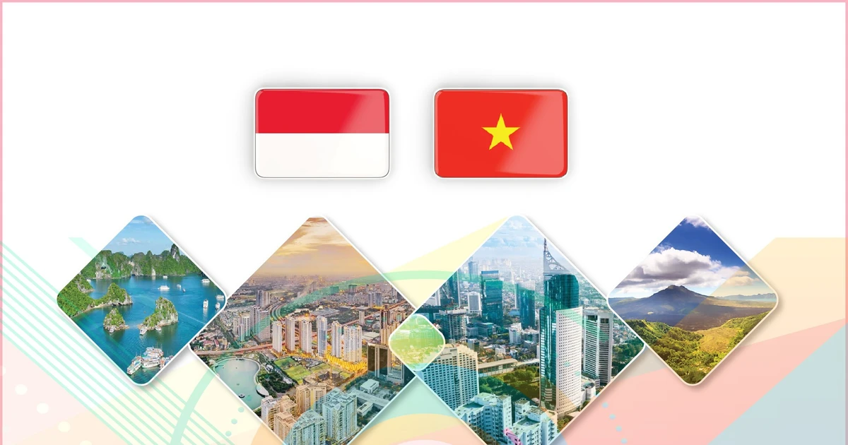 70 years of Vietnam–Indonesia diplomatic relations | Vietnam+ (VietnamPlus)