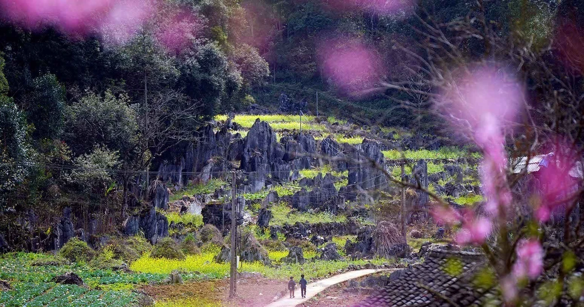 Dong Van Karst Plateau – World’s Leading Regional Cultural Destination