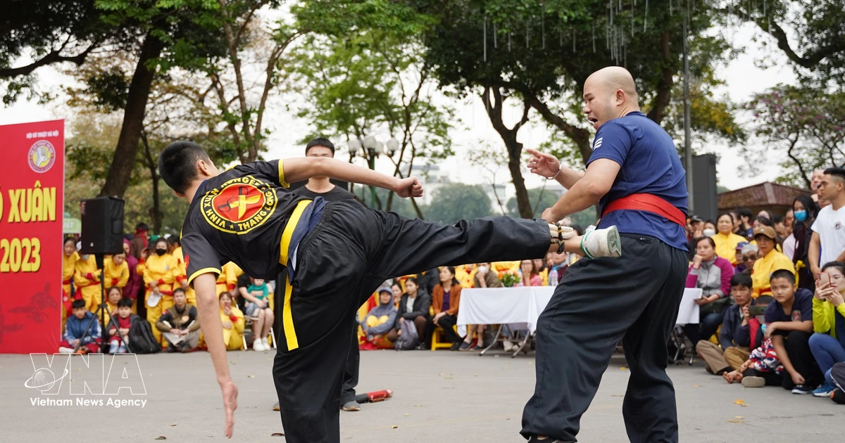 Hanoi's traditional martial arts: From heritage to driver of cultural industries