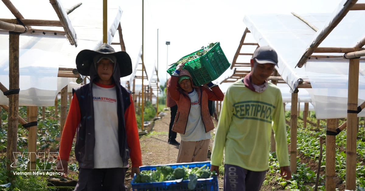 Indonesia promotes transition to low-emission agriculture