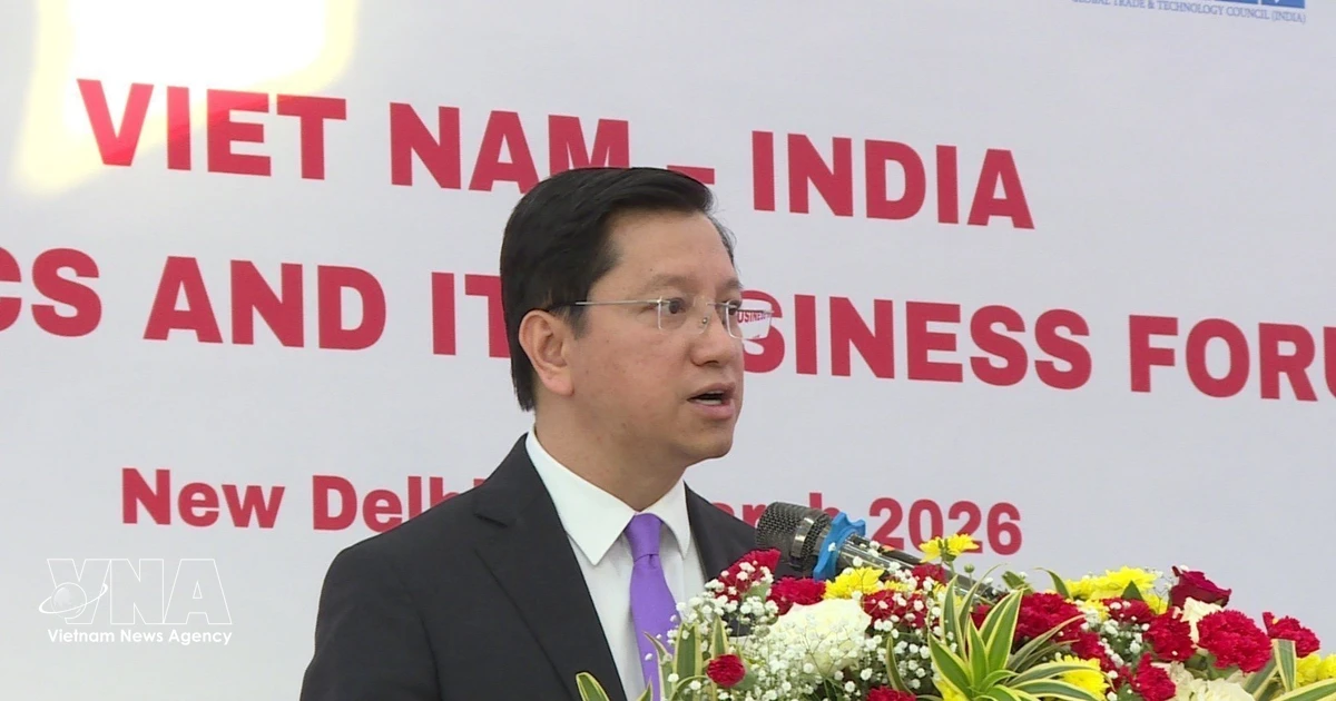 Vision Net India Vietnam, India step up cooperation in electronics, IT