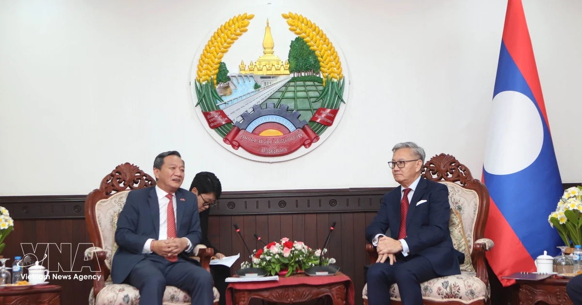 Vietnam, Laos enhance cooperation in implementing substance of ...