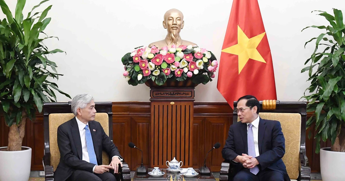 Vietnam, Singapore convene 17th political consultation