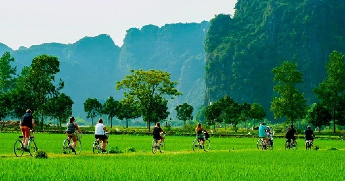 Vietnamese tourism needs “green passport” for international integration