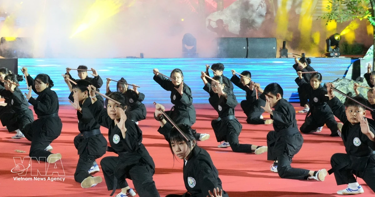 First int’l martial arts festival to debut in Hanoi