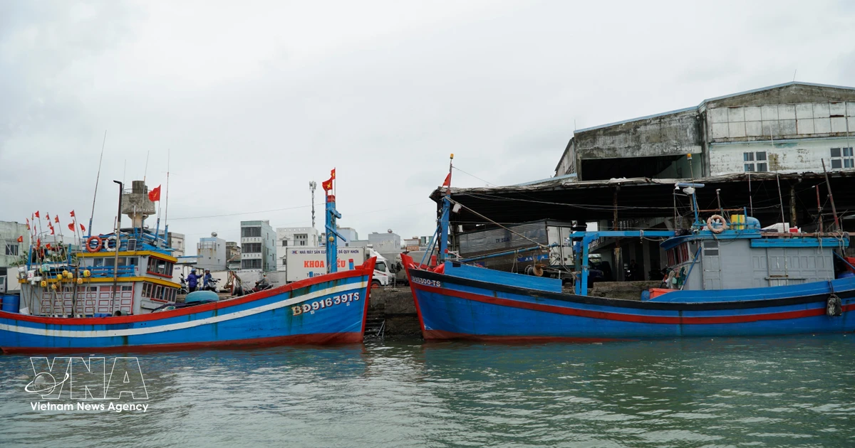Lam Dong expands community-led models to combat IUU fishing