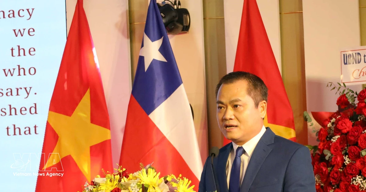 Da Nang marks 55 years of Vietnam–Chile diplomatic relations