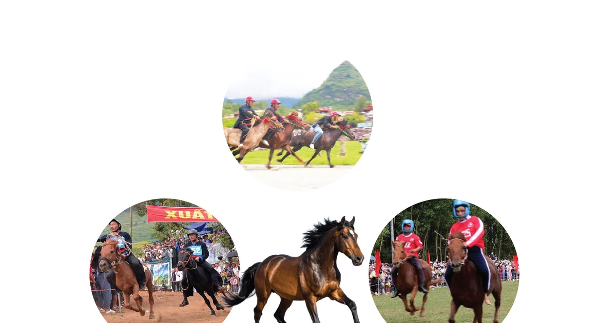Vietnam’s horse racing festivals: Unique folk sporting tradition