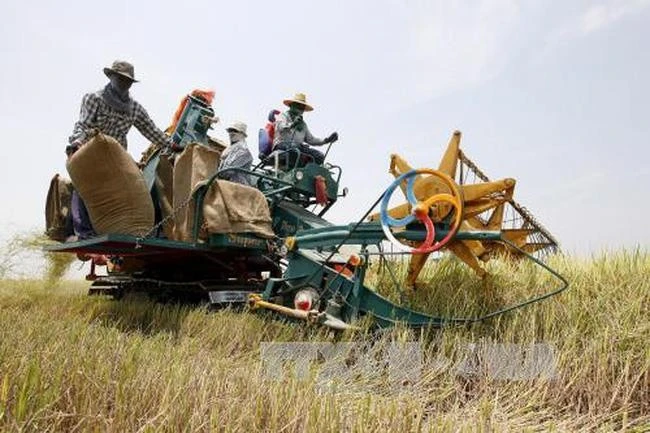 Thailand, Meta provide free AI training for farmers, SMEs