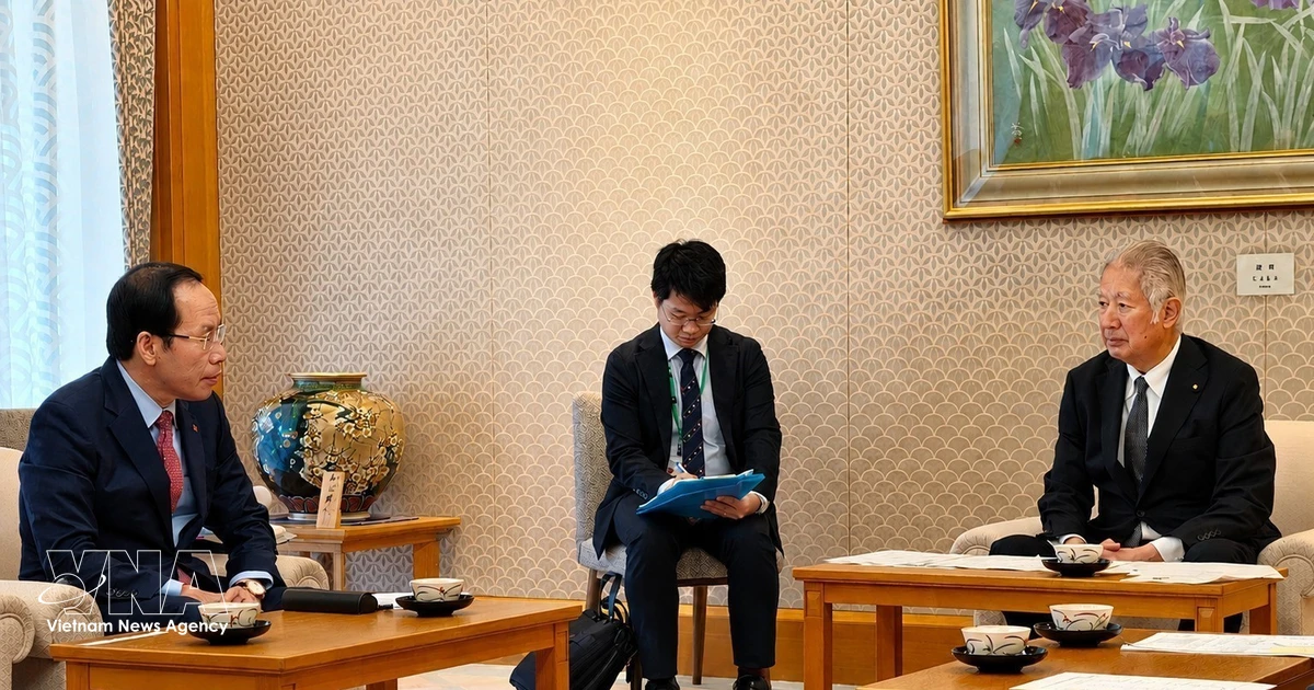 Vietnam regards Japan as one of its most important partners: Deputy PM