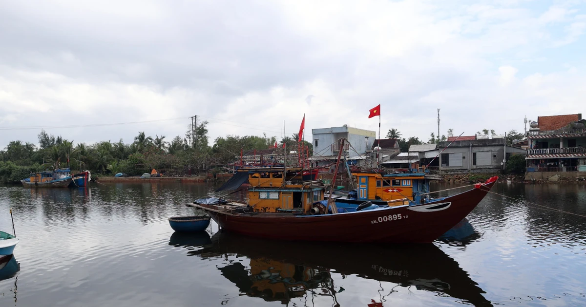 Combatting IUU fishing: Da Nang restructures fleet to protect marine resources