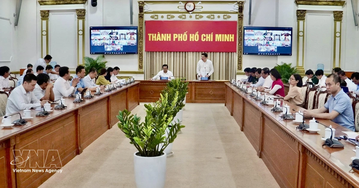 Ho Chi Minh City steps up anti-IUU fishing efforts ahead of EC inspection