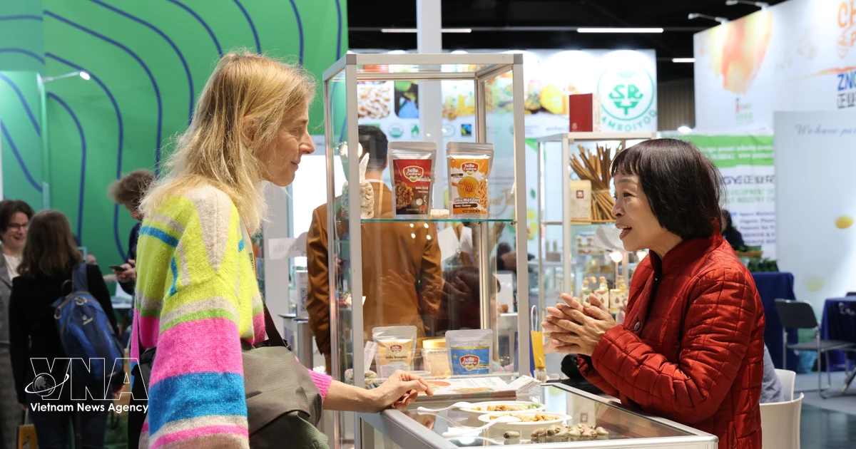 Vietnamese firms strengthen foothold globally, better policies needed