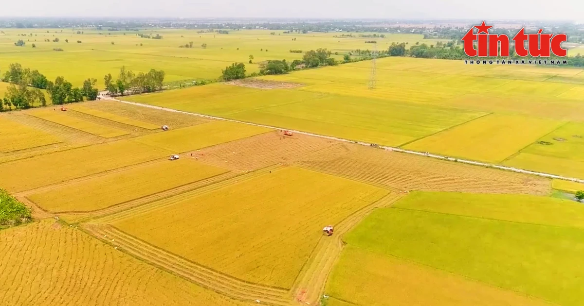 Vietnam+ (VietnamPlus)