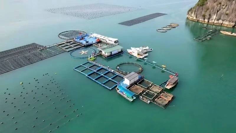 Vietnam advances integrated marine governance to unlock blue economy potential