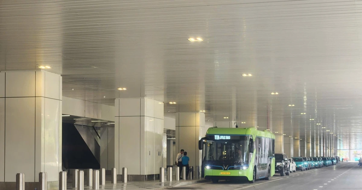 Ho Chi Minh City adds 169 electric buses on nine routes from March 1