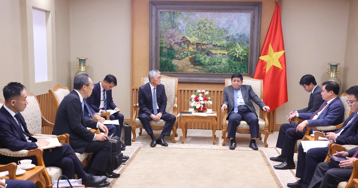 The meeting between Deputy Prime Minister Nguyen Chi Dung (right) and Honna Hitoshi, Representative Director and President of Japan’s Erex Corporation, on July 4, 2025. (Photo: VNA)