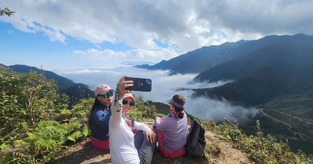 Mu Cang Chai taps forest wealth to boost eco-tourism