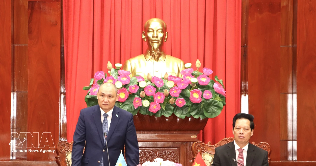 Kazakh investor proposes building plant to process 1 million tonnes of rice husks in Dong Thap